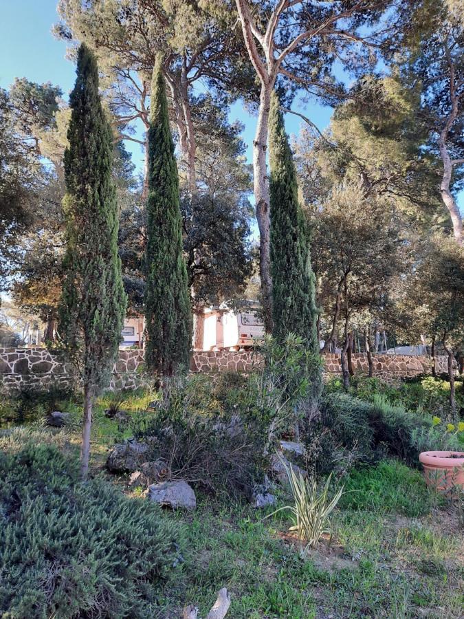 Appartamento Perla Biograd Na Moru Esterno foto